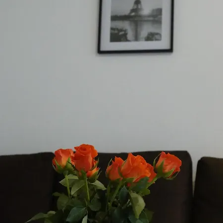 Charming And Spacious - Close To Center Appartement *